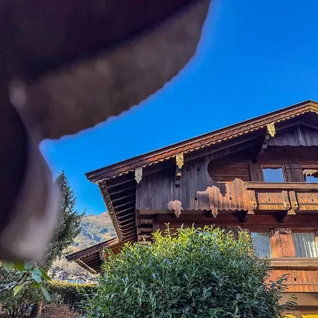 Anton Zillertal Fügen